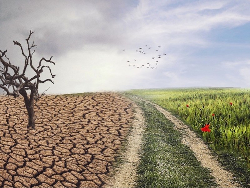 A Return to&nbsp;Moderation