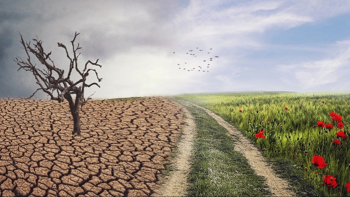 A Return to&nbsp;Moderation